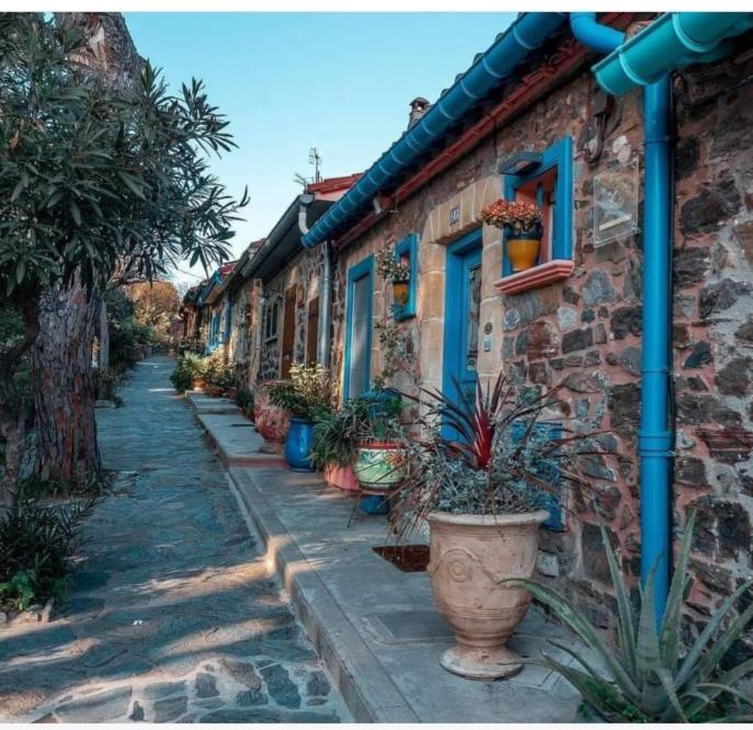 Las Tortoras Lägenhet Amélie-les-Bains-Palalda Exteriör bild